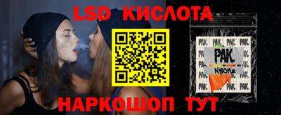 прущие крисы Камышлов