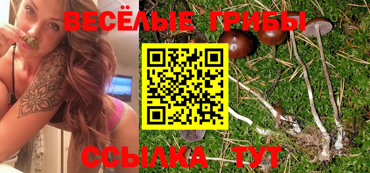 Псилоцибиновые грибы мухоморы  Вход с VPN  Волжский 