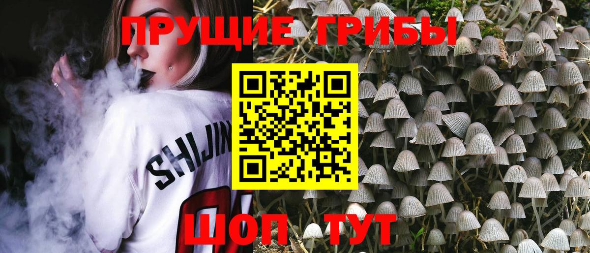 Галлюциногенные грибы Psilocybine cubensis Волжский
